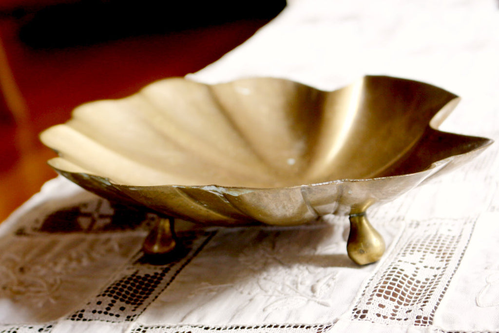 Concha Bronce