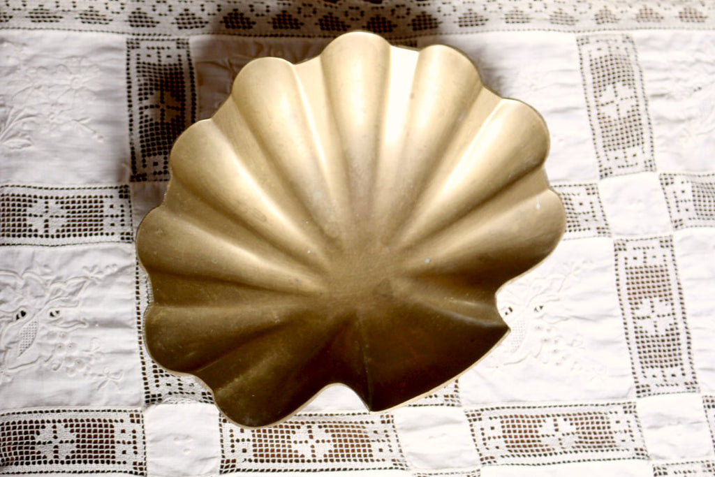 Concha Bronce