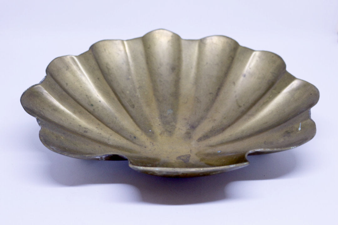 Concha Bronce